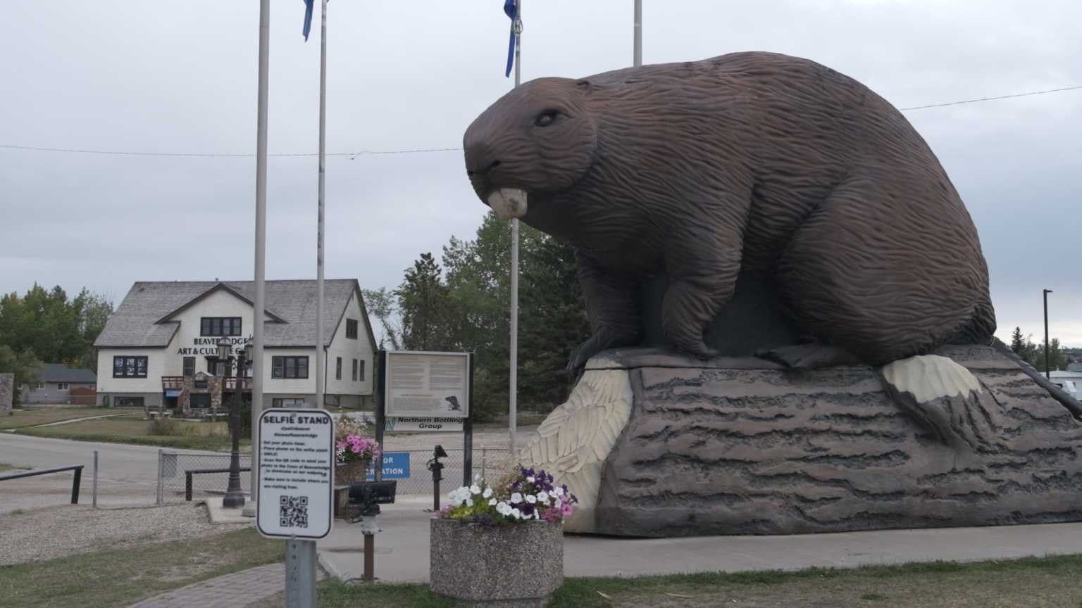 Discover Beaverlodge, Alberta: A Small Town with Big Heart